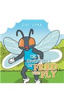 The Adventures of Fred the Fly