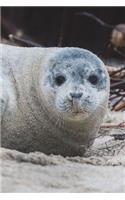 Say Hello to the Atlantic Grey Seal Journal: 150 page lined notebook/diary