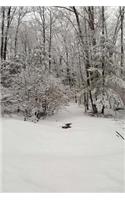 Journal Scenic Winter Weather Woodlands