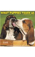 WHAT PUPPIES TEACH US 2020 WALL CALENDAR