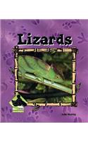 Lizards