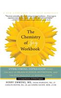 Chemistry of Joy Workbook