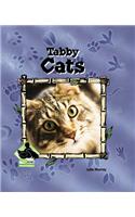 Tabby Cats