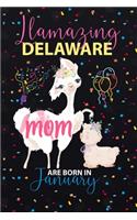 Llamazing Delaware Mom are Born in January