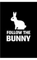 Follow The Bunny