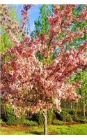 2020 Weekly Planner Pretty Spring Flowering Tree 134 Pages: 2020 Planners Calendars Organizers Datebooks Appointment Books Agendas