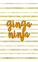 Ginga Ninja