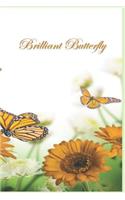 Brilliant Butterfly