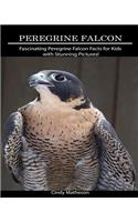 Peregrine Falcon: Fascinating Peregrine Falcon Facts for Kids with Stunning Pictures!