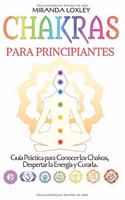 Chakras Para Principiantes