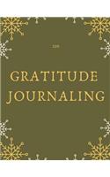 120 Gratitude Journaling
