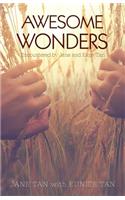 Awesome Wonders