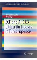 Scf and Apc E3 Ubiquitin Ligases in Tumorigenesis
