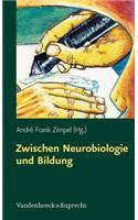 Zwischen Neurobiologie Und Bildung