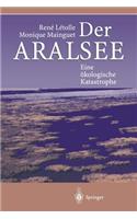 Der Aralsee
