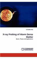 X-ray Probing of Warm Dense Matter