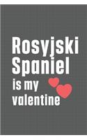 Rosyjski Spaniel is my valentine: For Romanian Raven Shepherd Dog Fans