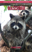 Waschbär: Lustige Fakten und sagenhafte Fotos