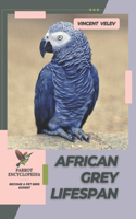 African Grey Lifespan: Parrot encyclopedia, Become a pet bird expert