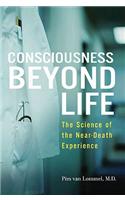 Consciousness Beyond Life