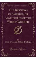 The Barnabys in America, or Adventures of the Widow Wedded (Classic Reprint)
