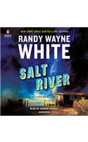 Salt River: (26 A Doc Ford Novel)