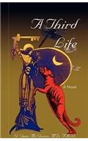 Third Life, a Novel