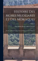 Histoire Des Mores Mudejares Et Des Morisques