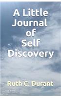 A Little Journal of Self Discovery