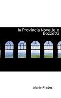 In Provincia Novelle E Bozzetti