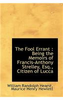 The Fool Errant