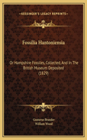 Fossilia Hantoniensia