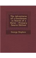Adventures of a Gentleman in Search of a Horse