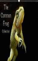 Common Frog Collection 2018