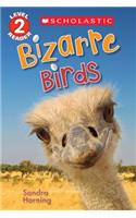 Bizarre Birds