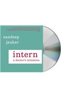 Intern