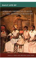 Daily Life of African American Slaves in the Antebellum South