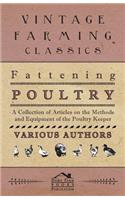 Fattening Poultry - A Collection of Articles on the Methods and Equipment of the Poultry Keeper