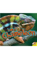 I Am a Chameleon: (I Am)