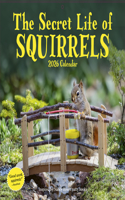 Secret Life of Squirrels Wall Calendar 2026