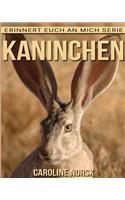 Kaninchen: Ein Kinderbuch mit erstaunlichen Fotos und interessanten Fakten über Kaninchen(Erinnert Euch an Mich Serie)