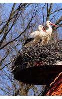Two Storks in a Nest Bird Journal: 150 Page Lined Notebook/Diary