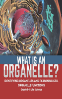 What is an Organelle? Identifying Organelles and Examining Cell Organelle Functions Grade 6-8 Life Science