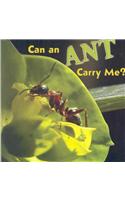 Can an Ant Carry Me?