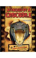 Attacked by a Crocodile