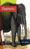 Elephants