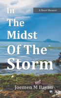 In The Midst Of The Storm