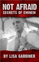 Not Afraid Secrets of Eminem