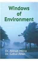 Windows of Environment