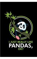 I Just Really Like Pandas, Ok?: A Journal, Notepad, or Diary to write down your thoughts. - 120 Page - 6x9 - College Ruled Journal - Writing Book, Personal Writing Space, Doodle, N